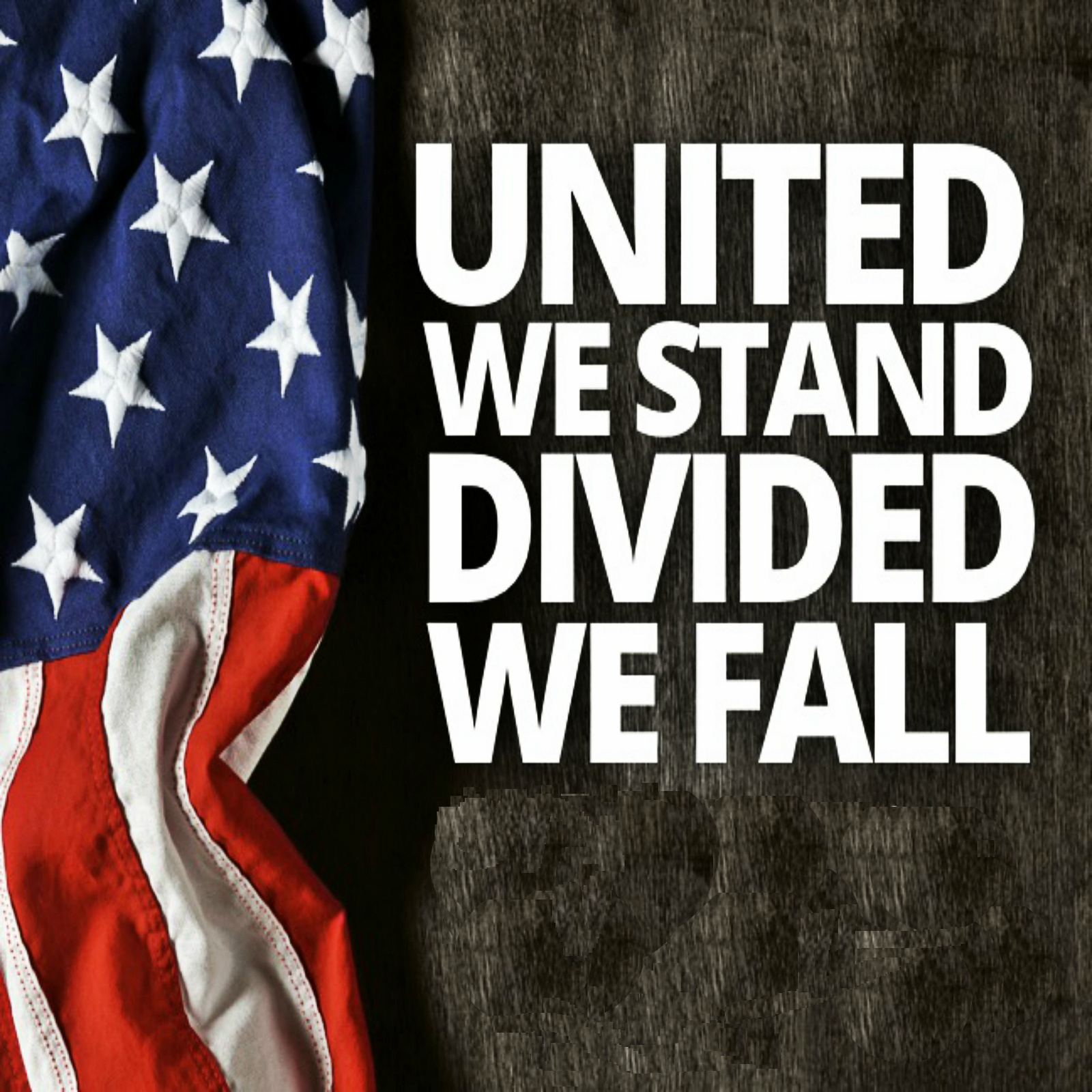 America: United We Stand, Divided We Fall